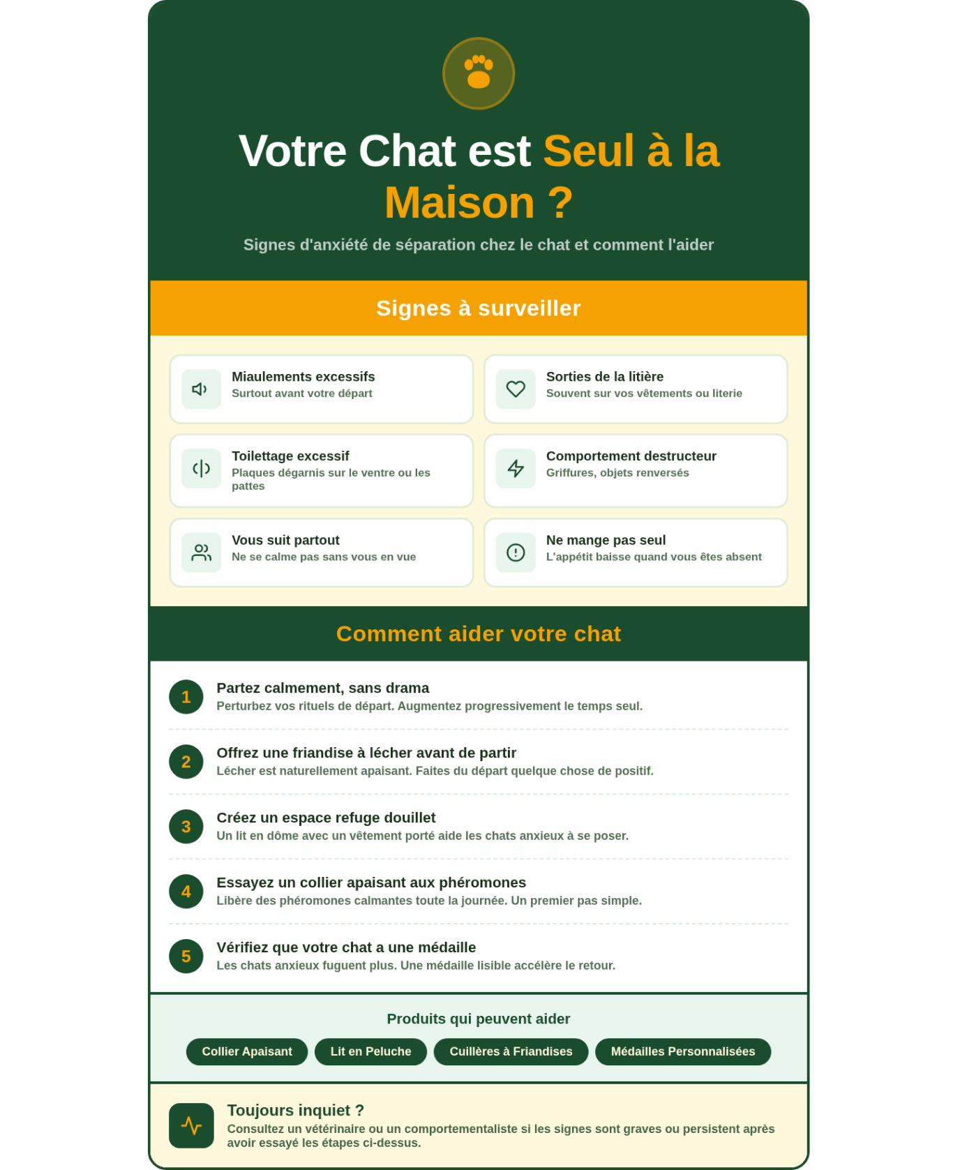 Résumé des signes d'anxiété de séparation chez le chat et des solutions.